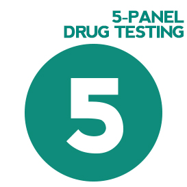 17 Panel Hair Drug Test - The Most Comprehensive Hair Drug Test