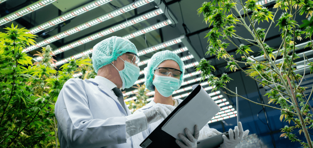 Addressing Occupational Health in the Cannabis Industry | Mobile Health | Employee Screening Services