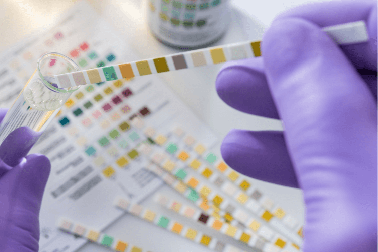 Employee Drug & Alcohol Testing | Mobile Health